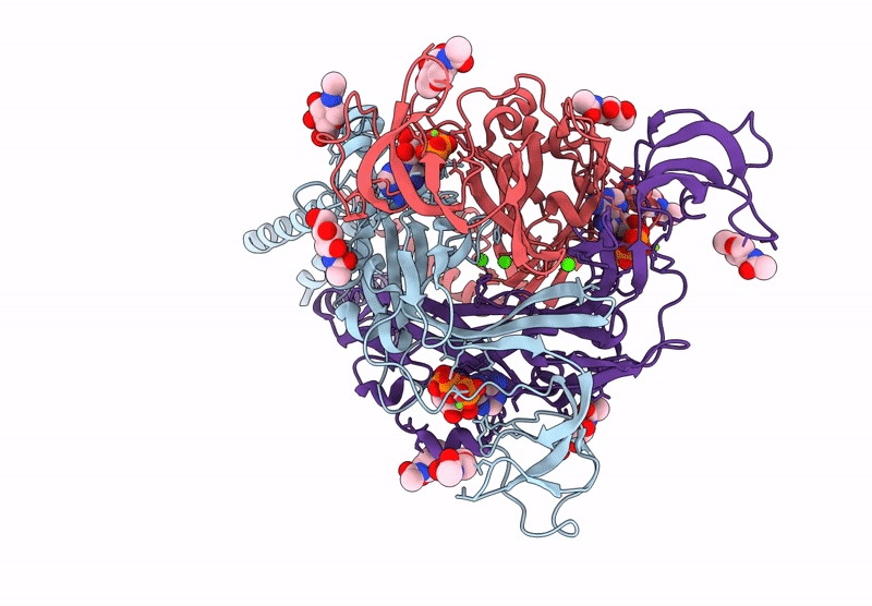 8ZT8 image
