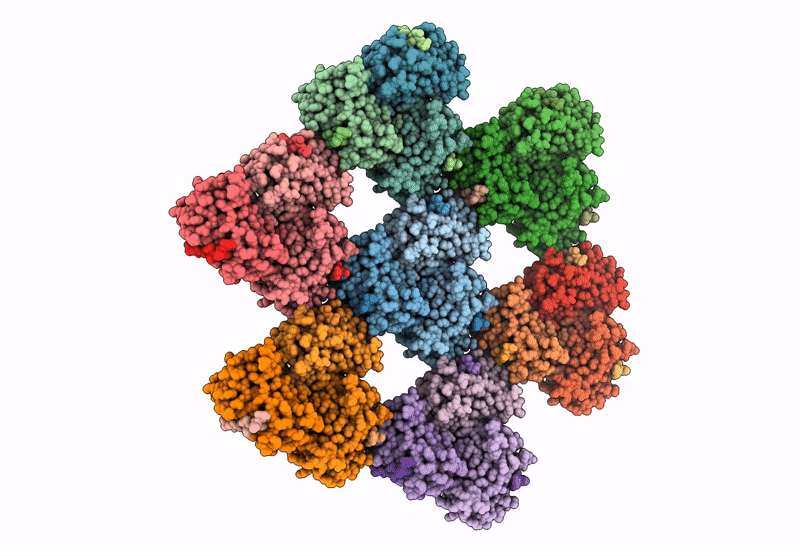 8ZUK image