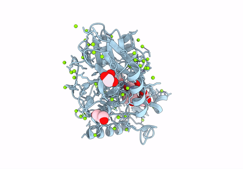8ZXG image