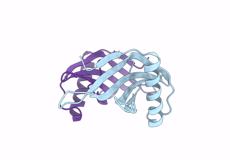 8ZXT image