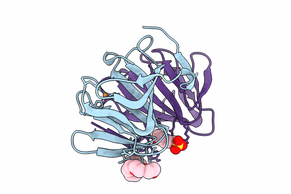 8ZYG image