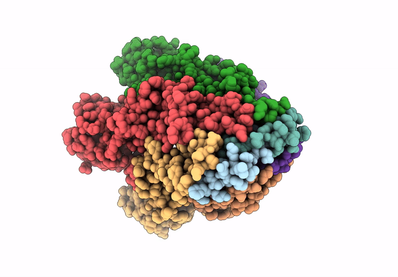 8ZYV image