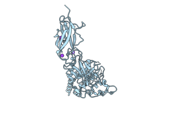 9ARC image