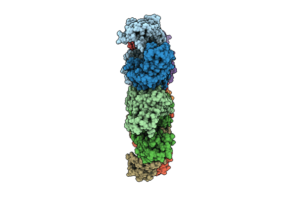 9ARV image