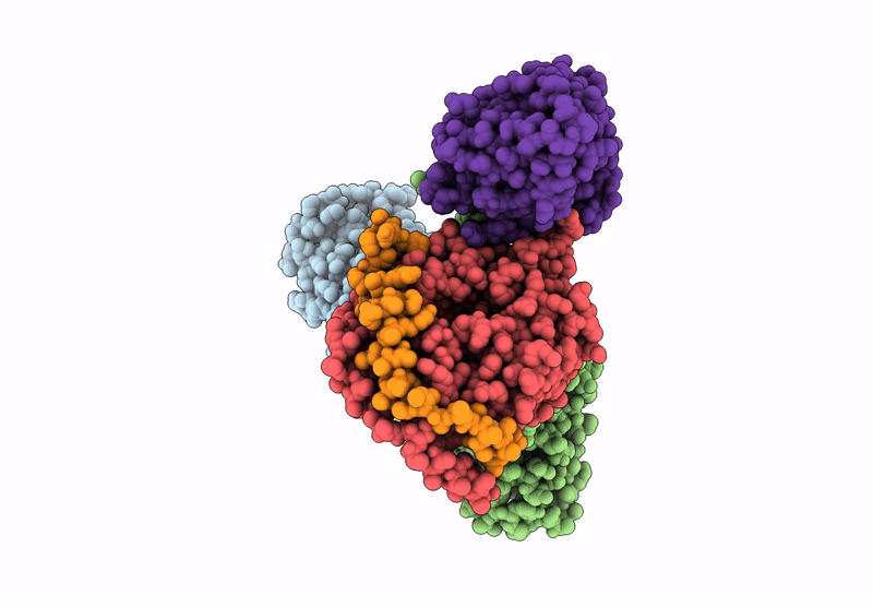9AS2 image