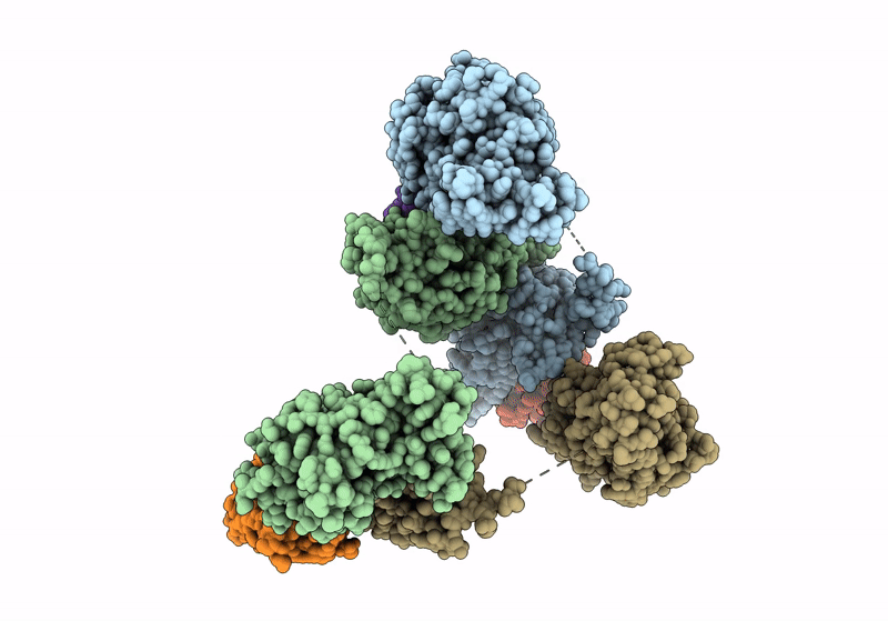 9ATP image