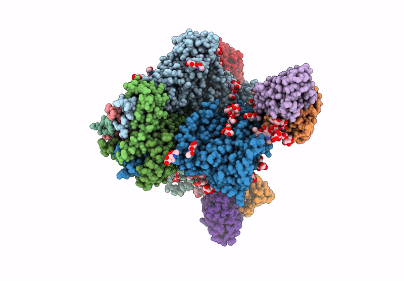 9AUI image