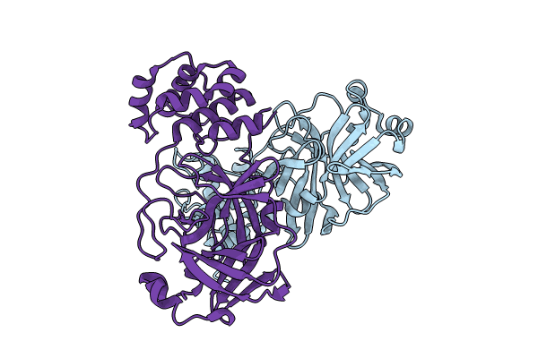 9AUO image