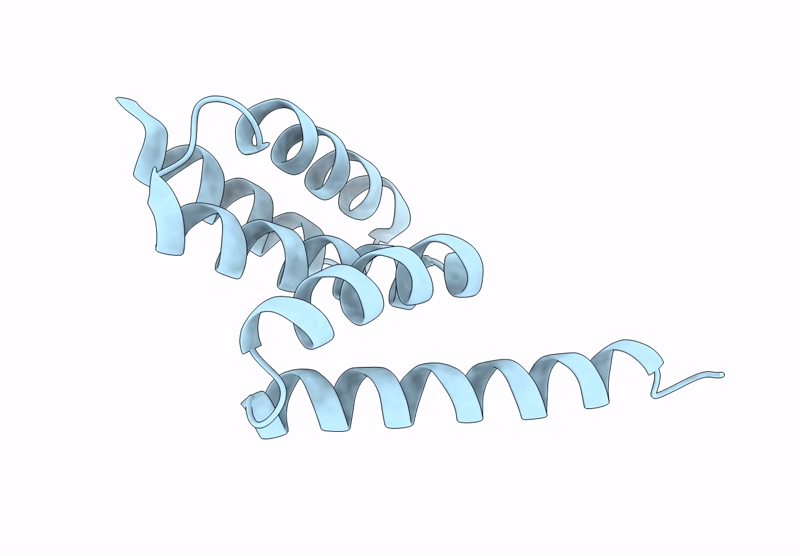 9AVD image