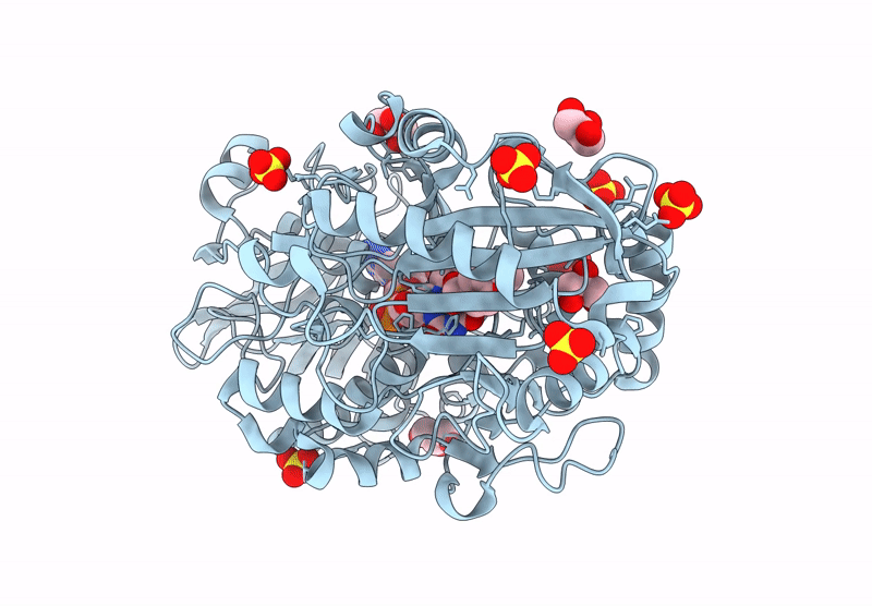 9AVH image