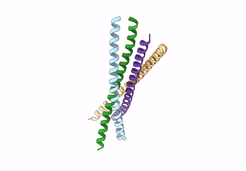 9AVM image
