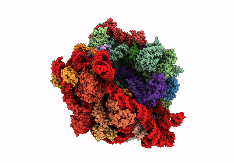 9AX8 image