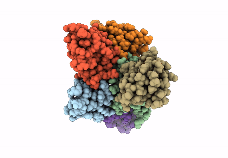 9AXB image