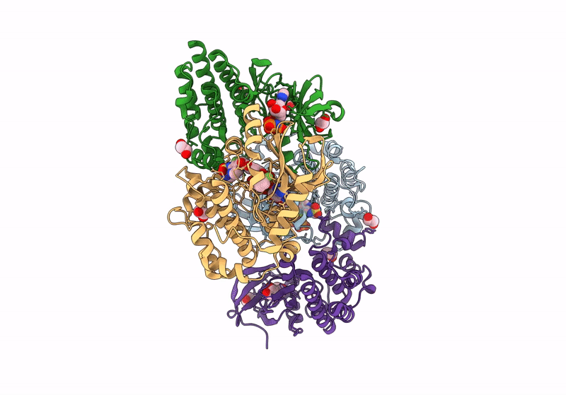 9AXX image