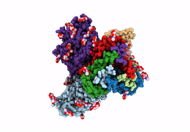 9AYV image