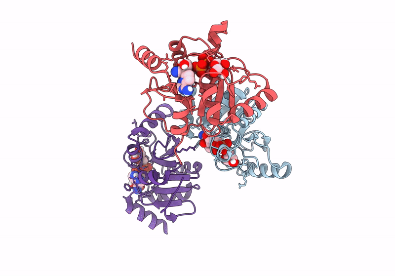 9AZX image