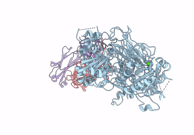 9B13 image