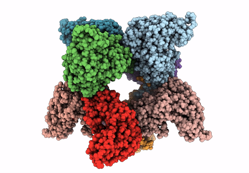 9B16 image