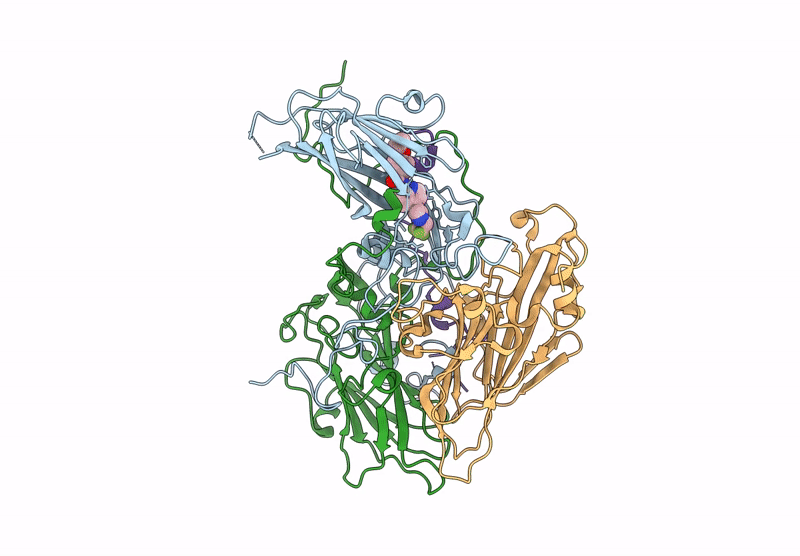 9B1B image