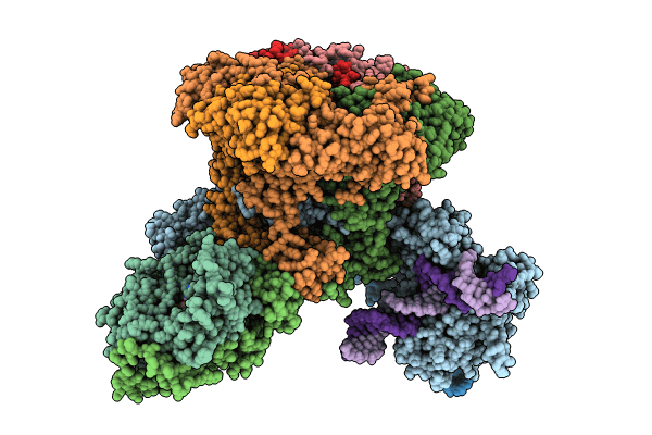 9B1D image