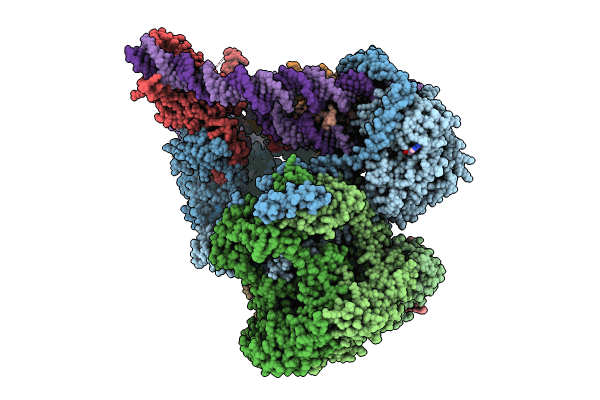 9B1E image