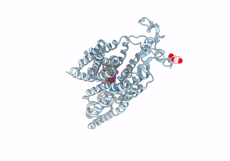 9B1H image