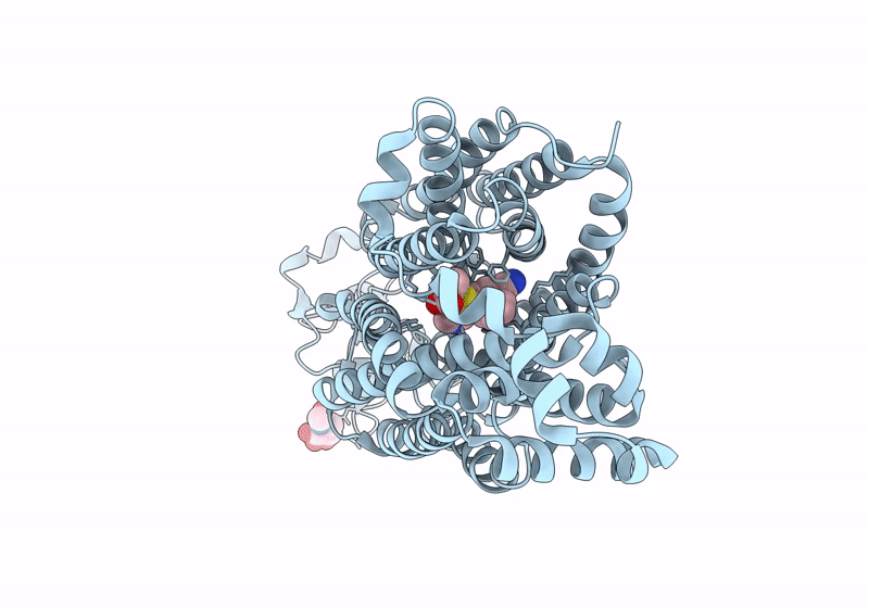 9B1I image