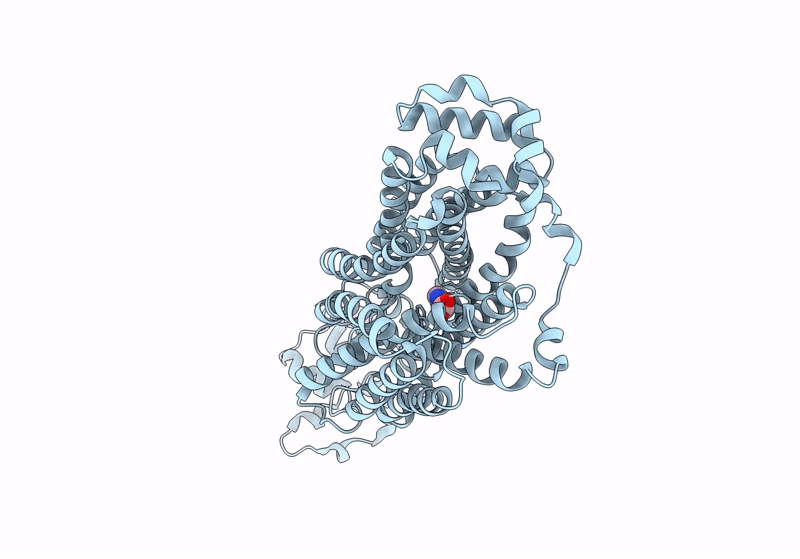9B1M image