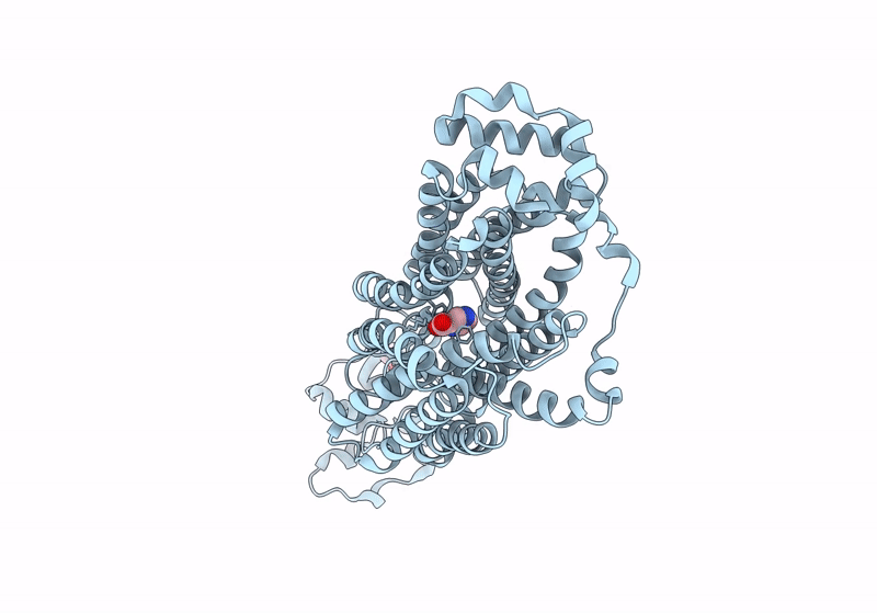 9B1N image