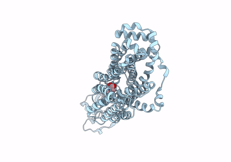 9B1O image