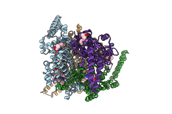 9B1Q image