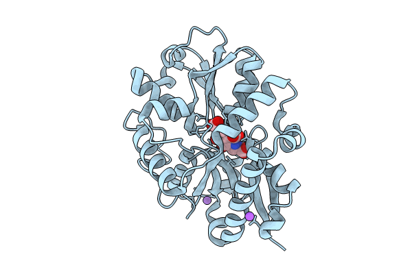 9B1U image