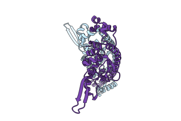 9B23 image