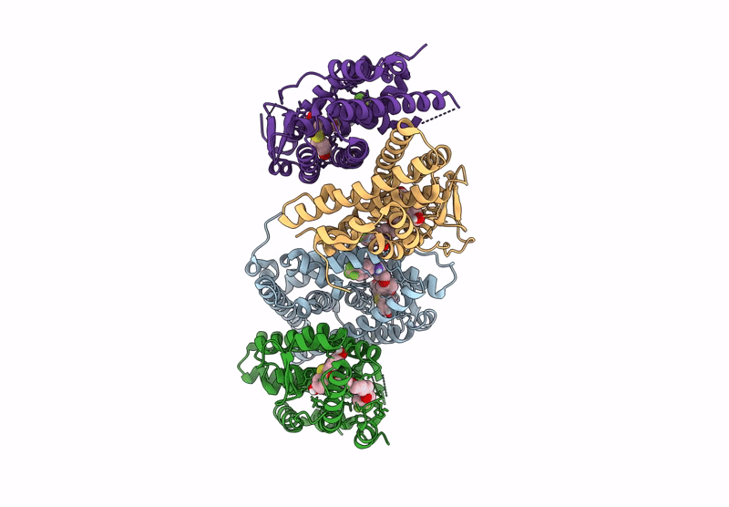 9B25 image