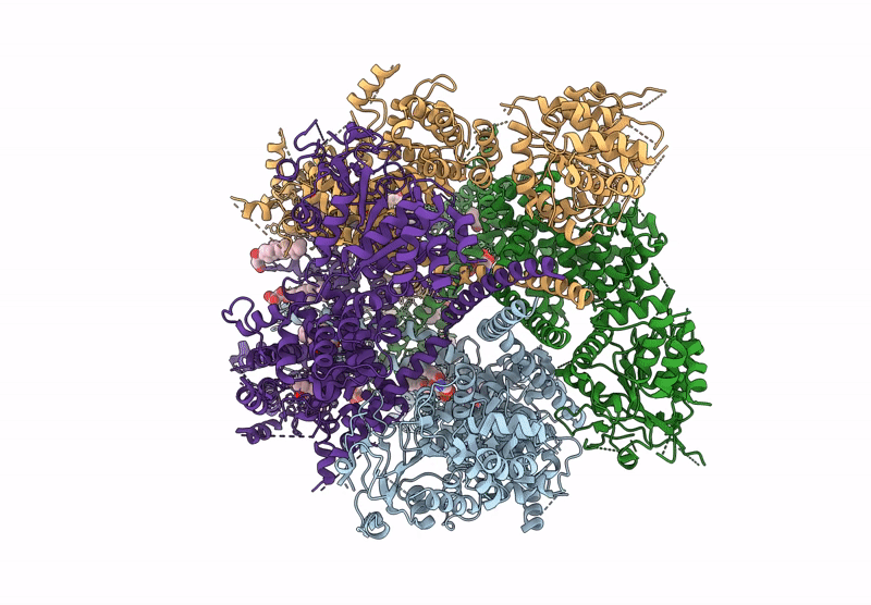 9B28 image