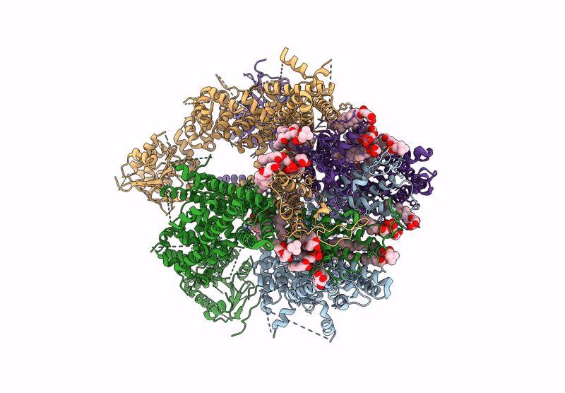 9B29 image