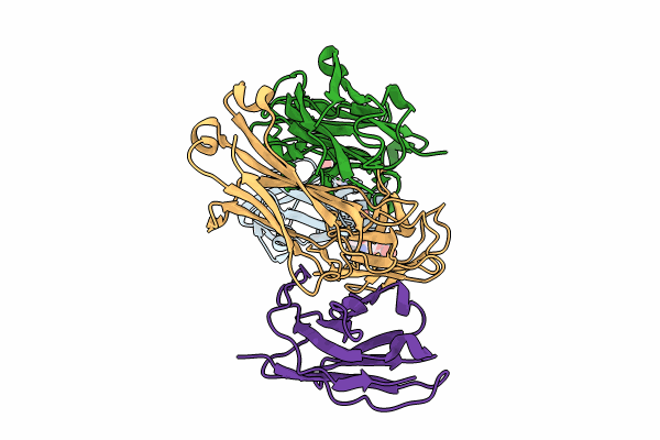 9B2C image