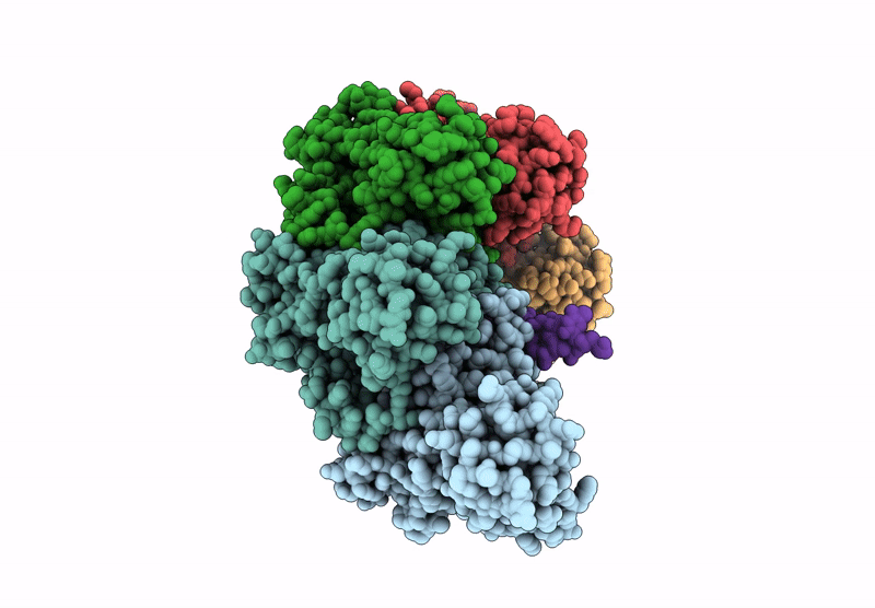 9B2D image