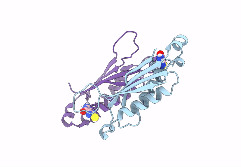 9B2E image