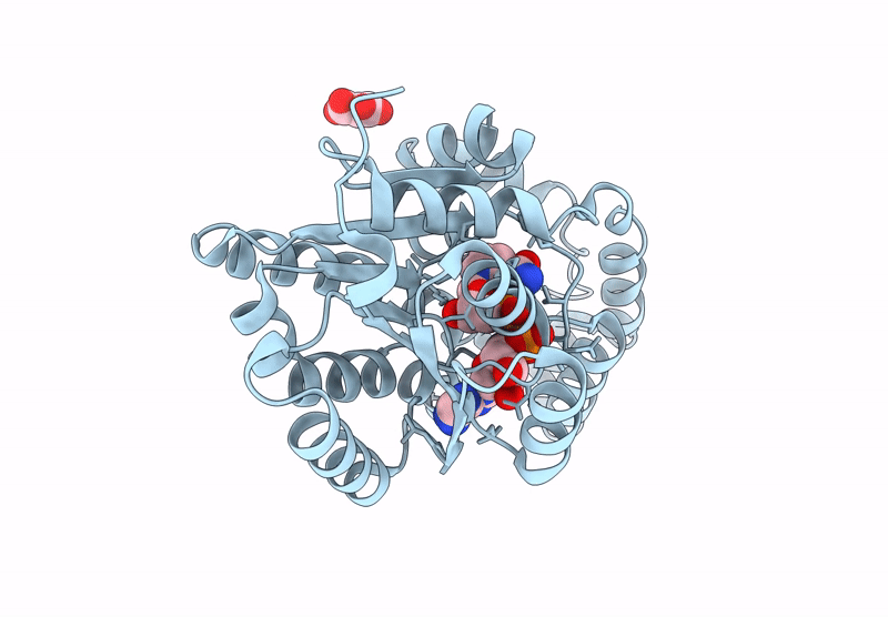 9B2F image