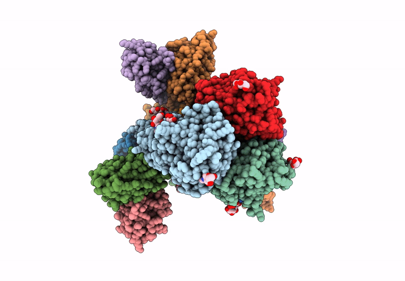 9B2M image