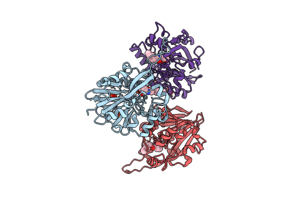 9B2O image