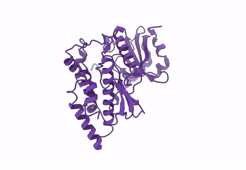 9B2U image
