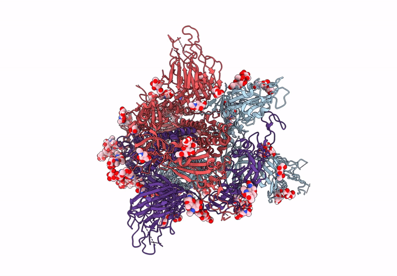9B2V image