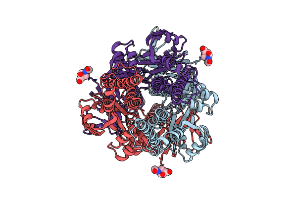 9B2X image