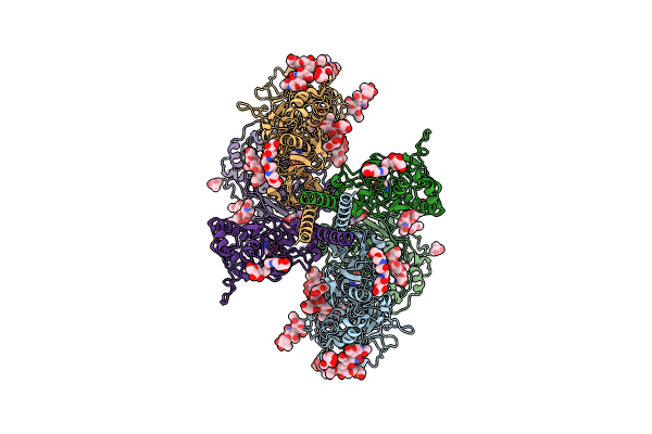 9B38 image