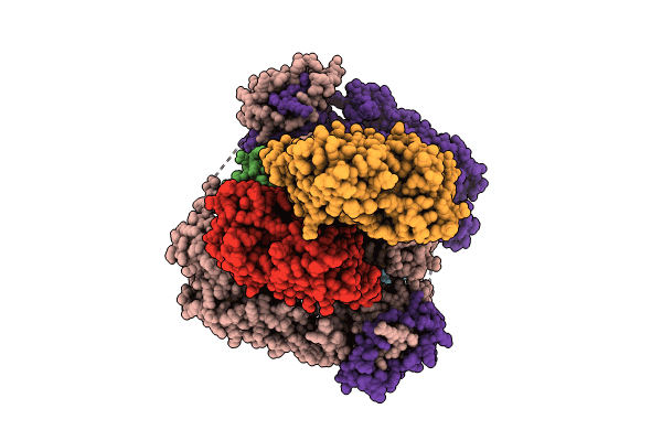 9B3D image