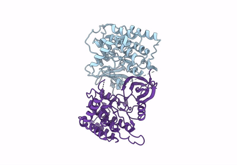 9B3S image