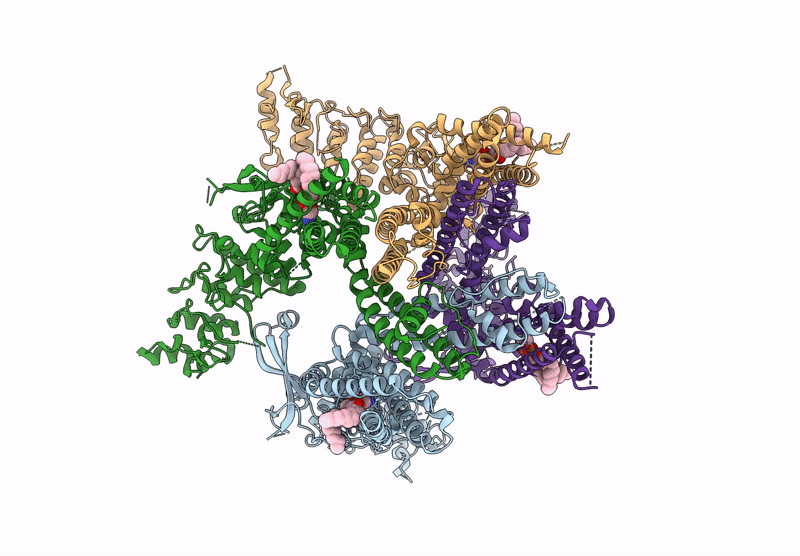 9B3V image