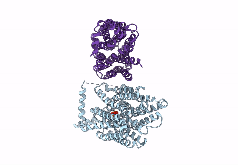9B47 image